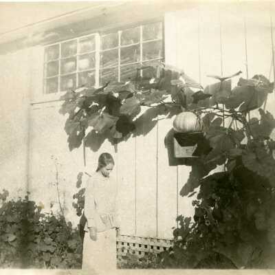 Unidentified Girl with Pumpkin Vine.