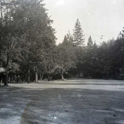 Park Area with Trees.