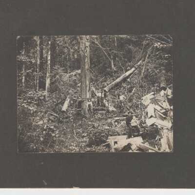 1905 Falling Timbers Beaver Creek