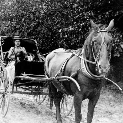 Mrs. E. G. Caufield in Horse and Buggy..