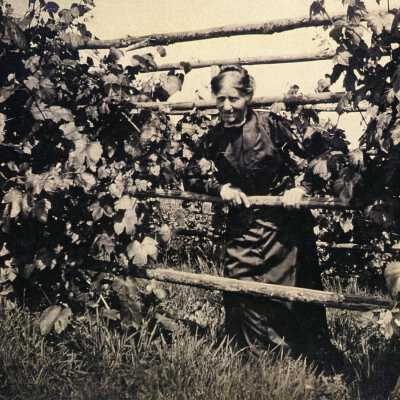 Mama and the Grape Vines.