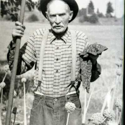 Alfred Barnabas Mulloy, Wilsonville Farmer