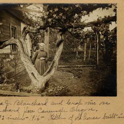 Rebecca J. Blanchard and grape vine on Blanchard Place, Canemah, Oregon.  7: Origsize: 8" x 10"; Origformat: Print-Photographic