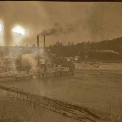 Willamette Falls 1919 - Viewed from West Linn