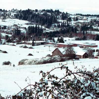 More Snow in Happy Valley. 1980s.: Copyright: Clackamas County Historical Society; Origformat: Other