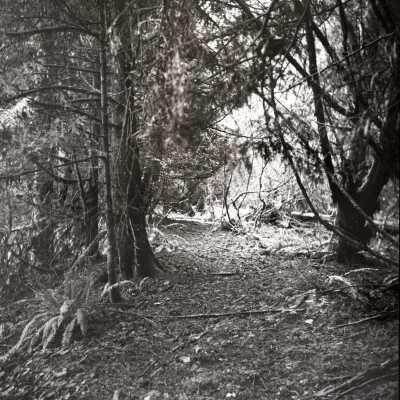 Barlow Road above Feldheimer Ford