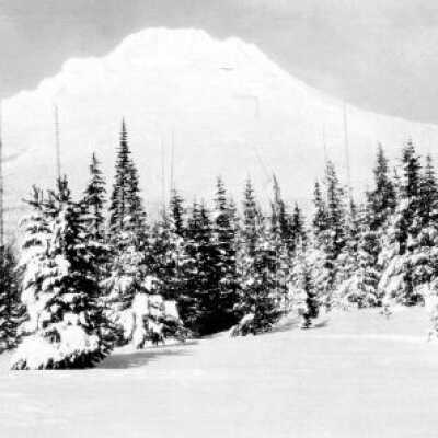 Mt. Hood from Government Camp: Copyright: Clackamas County Historical Society; Origsize: 3x9; Origformat: Print-Photographic