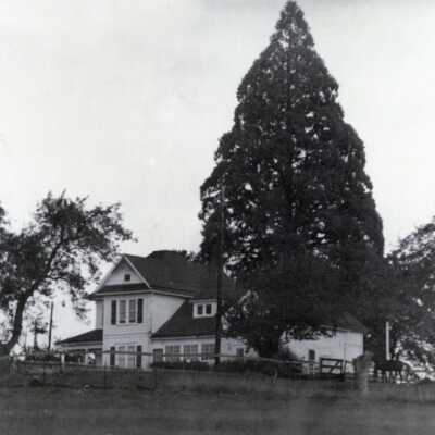 The Ward Wells Farm on Johnson Road in West Linn, Oregon.: Copyright: None; Origsize: 6" x 8"; Origformat: Print-Photographic