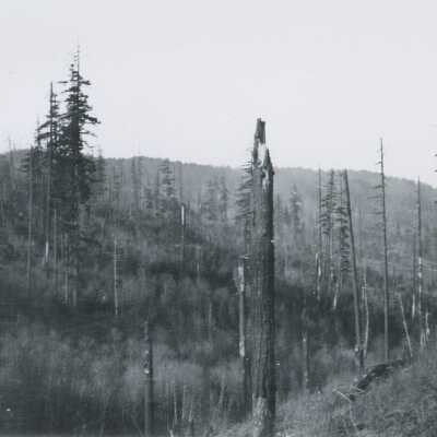 Construction of Oregon Railroad Bridge 1892-1893