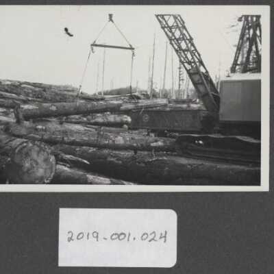 Lumber Industry