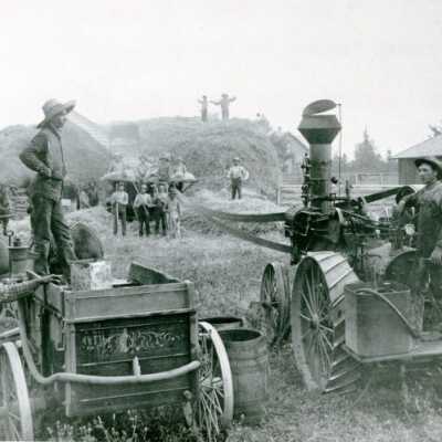Harvesting Wheat in Macksburg.