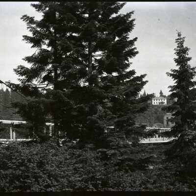 Oregon City - West Linn Suspension Bridge #2