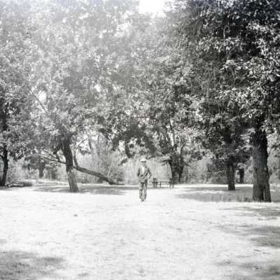 Man in Field with Trees, 1915-1935.: Origformat: Negative