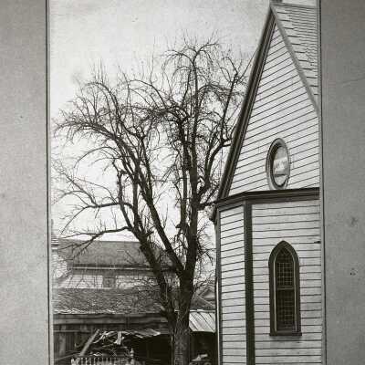 Oregon City 1892 - The Famous Apple Tree, (Methodist Apple Tree), 7th & Main