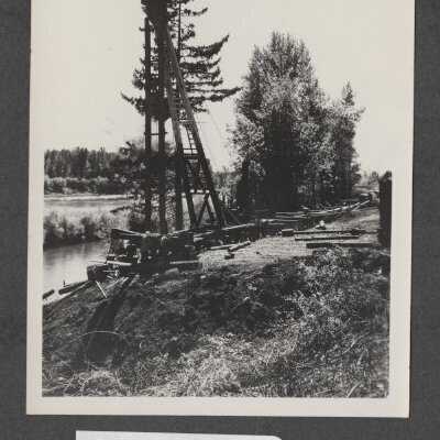 Lumber Industry