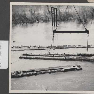 Lumber Industry