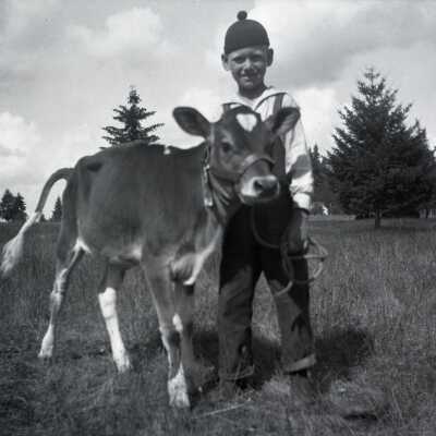 Boy with Calf.
