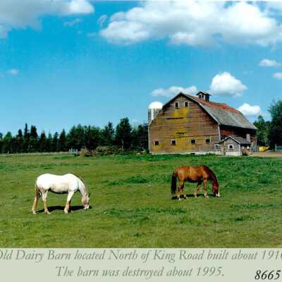 Old Dairy Barn, North of King Road, built 1910, burned 1995. 1988: Copyright: Clackamas County Historical Society; Origformat: Other