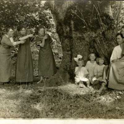 Pow Wow Maple Tree,1920s: Copyright: Clackamas County Historical Society; Origformat: Print-Photographic