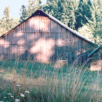 Old Barn East Of 147th Near Aldridge Road, (View #2). 1988