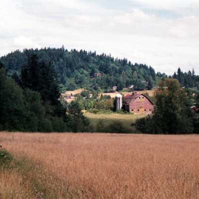 Old Dairy Barn, North of King Road, built 1910, burned 1995.: Copyright: Clackamas County Historical Society; Origformat: Other