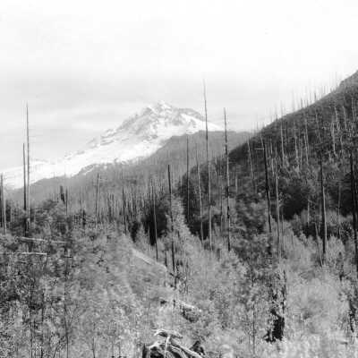 Mt. Hood, West Side: Copyright: Clackamas County Historical Society; Origsize: 5x7; Origformat: Print-Photographic