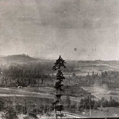 Hazelia, Looking North from Pete's Mountain.