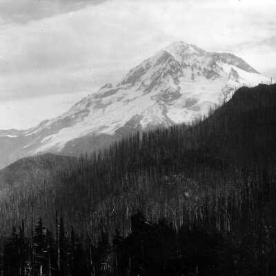 Mt. Hood, west side and burn area: Copyright: Clackamas County Historical Society; Origsize: 5x7; Origformat: Print-Photographic