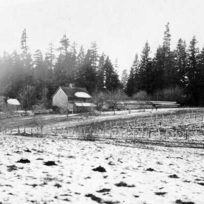 August Splinter premises, Rte. 3, Oregon City, Oregon