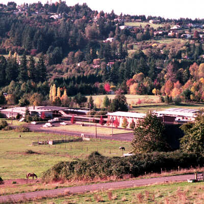 Overlooking Happy Valley School.