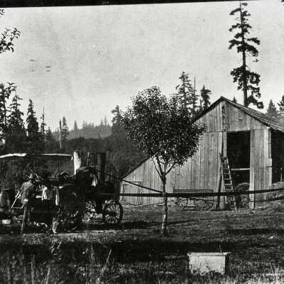Hazelia - Steam Threshing 1913