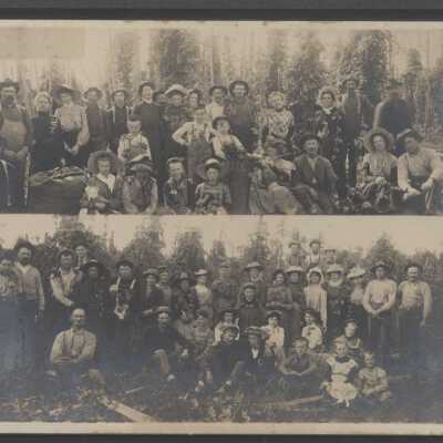 Hop Field Pickers