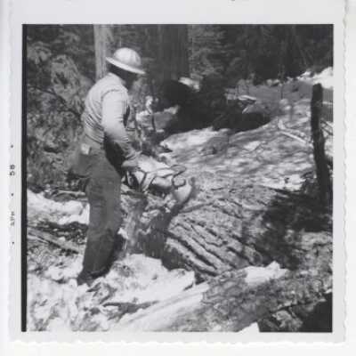 Logging