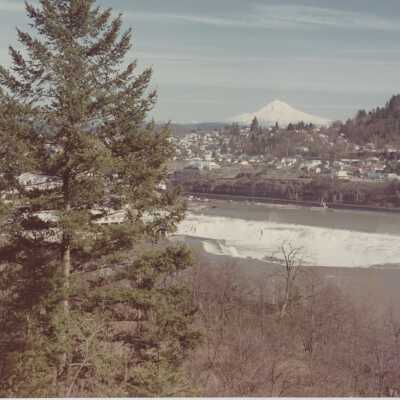 Mt. Hood