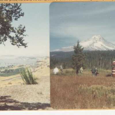Mt. Hood Barlow Trail Trek