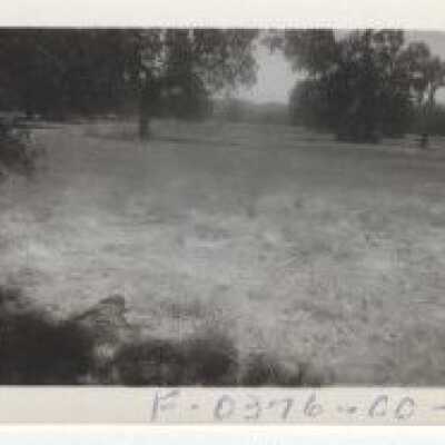 Unknown Landscape