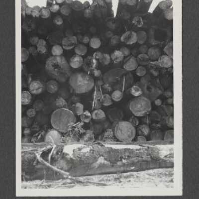 Lumber Industry