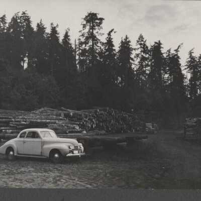 Lumber Industry