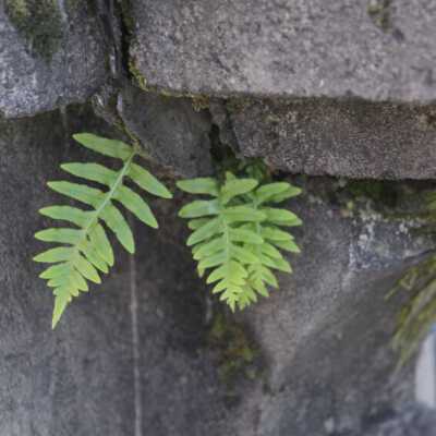 Origformat: Other; Negno: Img_5806