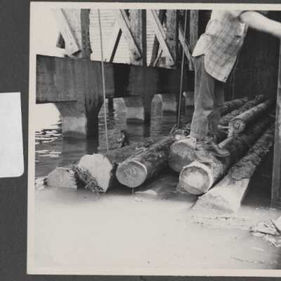 Lumber Industry