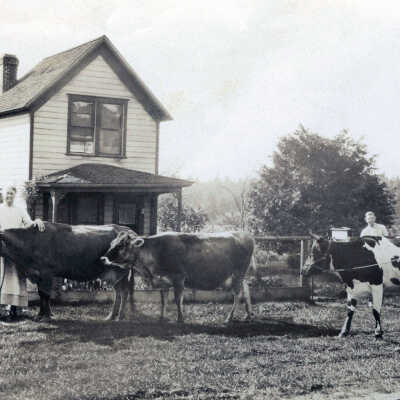 Unknown Farm House and Cattle.