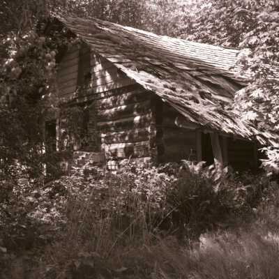Marmot Log Cabin Post Office, Mt. Hood
