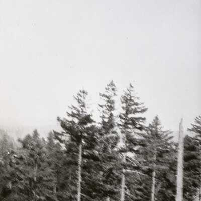 Highland Butte Peg-Tree IV