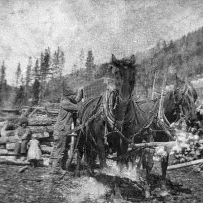 Logs ready for mill (Chamber's?) and people.