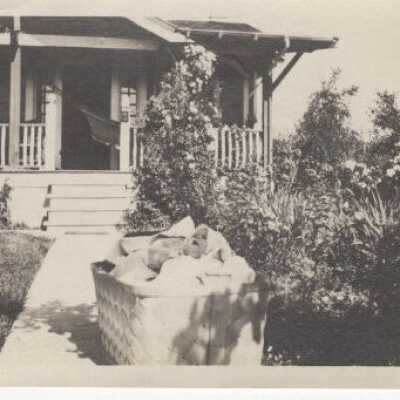Unknown House - Basket