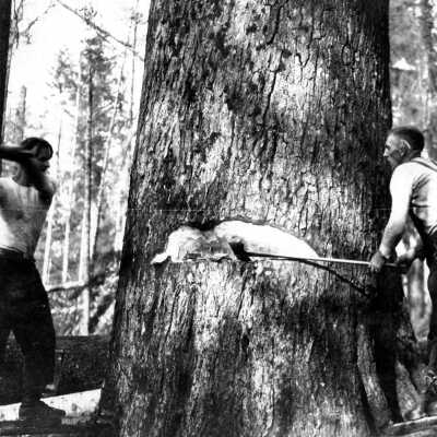 Logging - Springboards and Axes