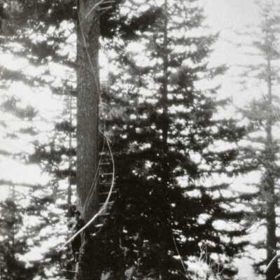 Highland Butte Peg-Tree II