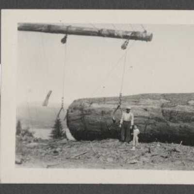 Lumber industry