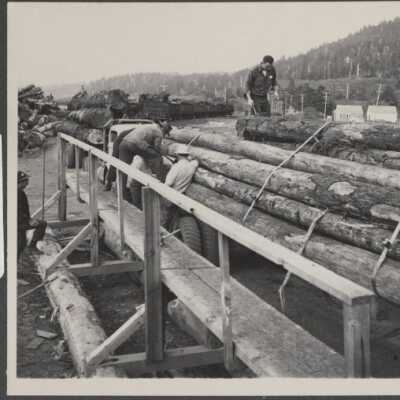 Lumber industry