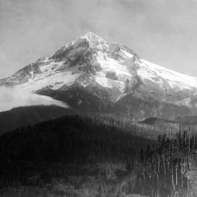 Mt. Hood view.